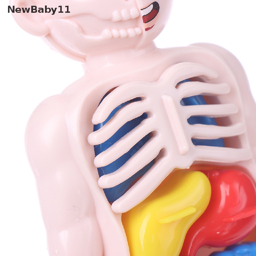 Bộ Đồ Chơi Lắp Ráp Cơ Thể Người Giáo Dục Sớm Cho Bé DIY