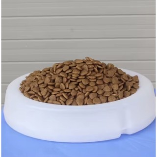(2KG) THỨC ĂN HẠT CHO MÈO NHỎ CATSRANG KITTEN