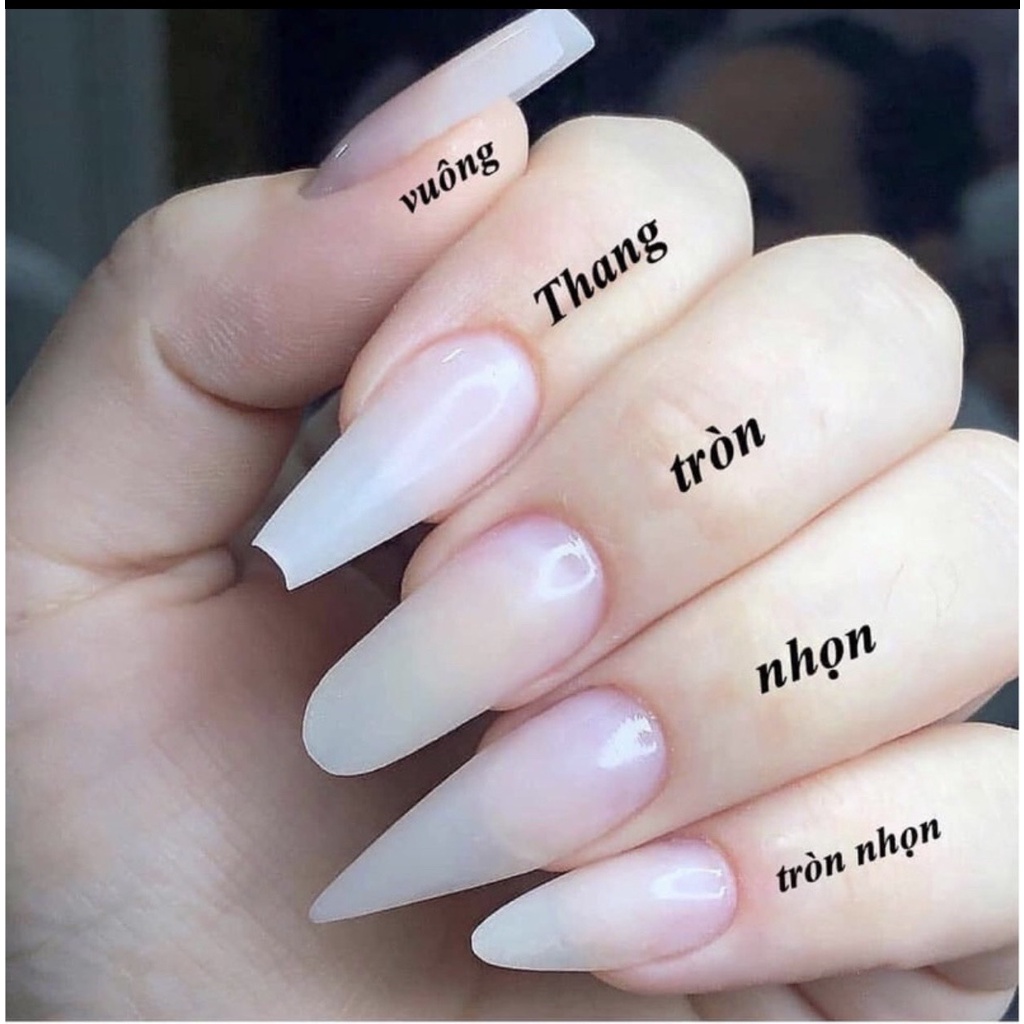 Nail box thiết kế - hộp 10 móng tay giả theo size,màu trắng cô dâu kèm nơ trắng , tặng kèm dũa và keo dính
