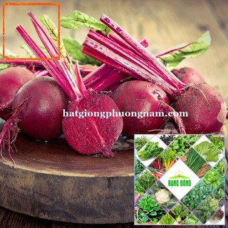 2 GR - HẠT GIỐNG CỦ DỀN ĐỎ Hạt Giống Nông Trại Xanh THE GARDEN