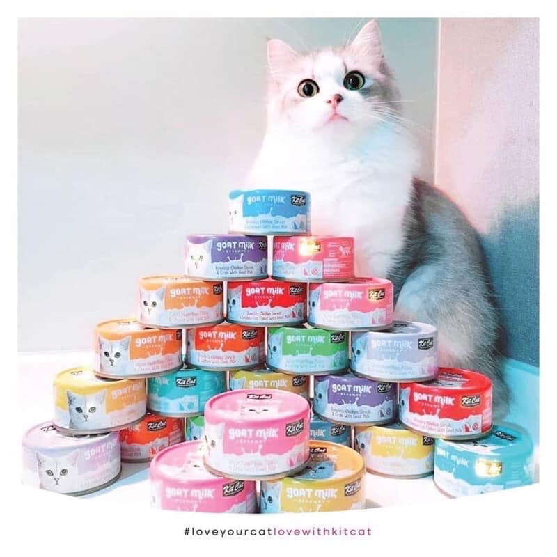 Pate sữa dê Goat Milk cho mèo KitCat 70g, Thức ăn ướt cho mèo Kit Cat