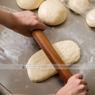CÂY GỖ CÁN BỘT  30 CM - BREADLEAF