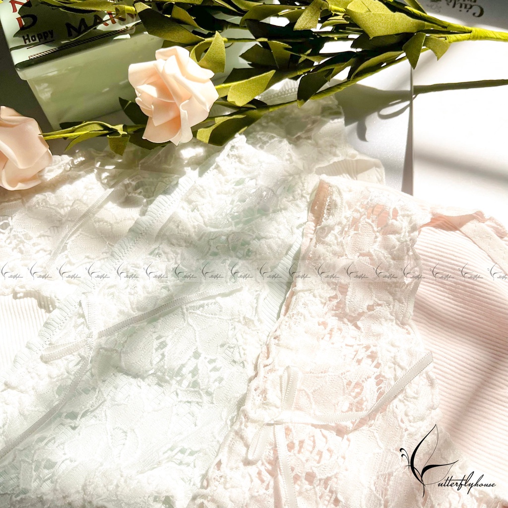 Quần Lót Nữ Thun Cotton Phối Ren Xinh Xắn Phong Cách Tiểu Thư Nhẹ Nhàng, Tone Màu Pastel Trong Veo