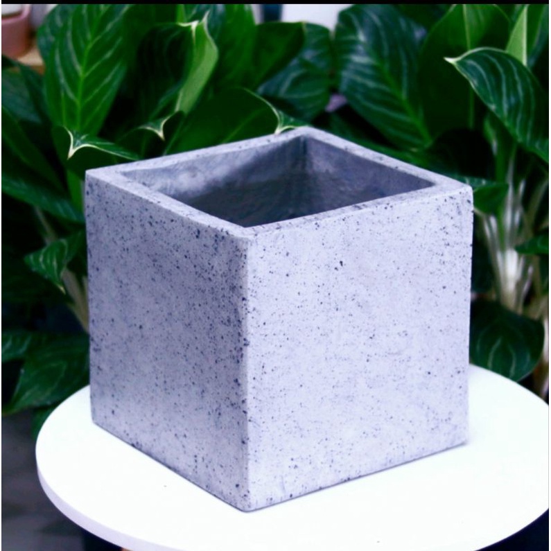 Chậu Vuông Đá Mài 40*40*40Cm Trồng Bông Giấy Hoa Mai