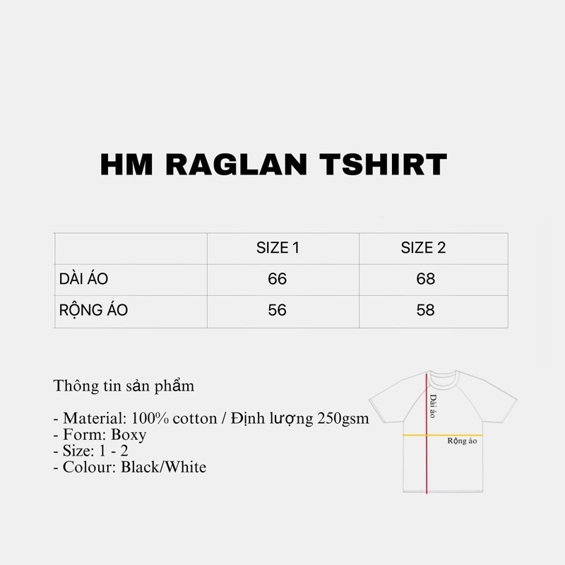 Áo Thun Boxy Raglan SDWTT
