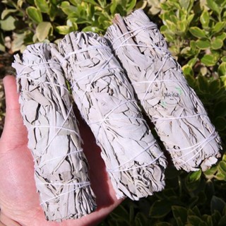 Xô thơm trắng THANH TẨY- White Sage, Xô thơm xông nhà