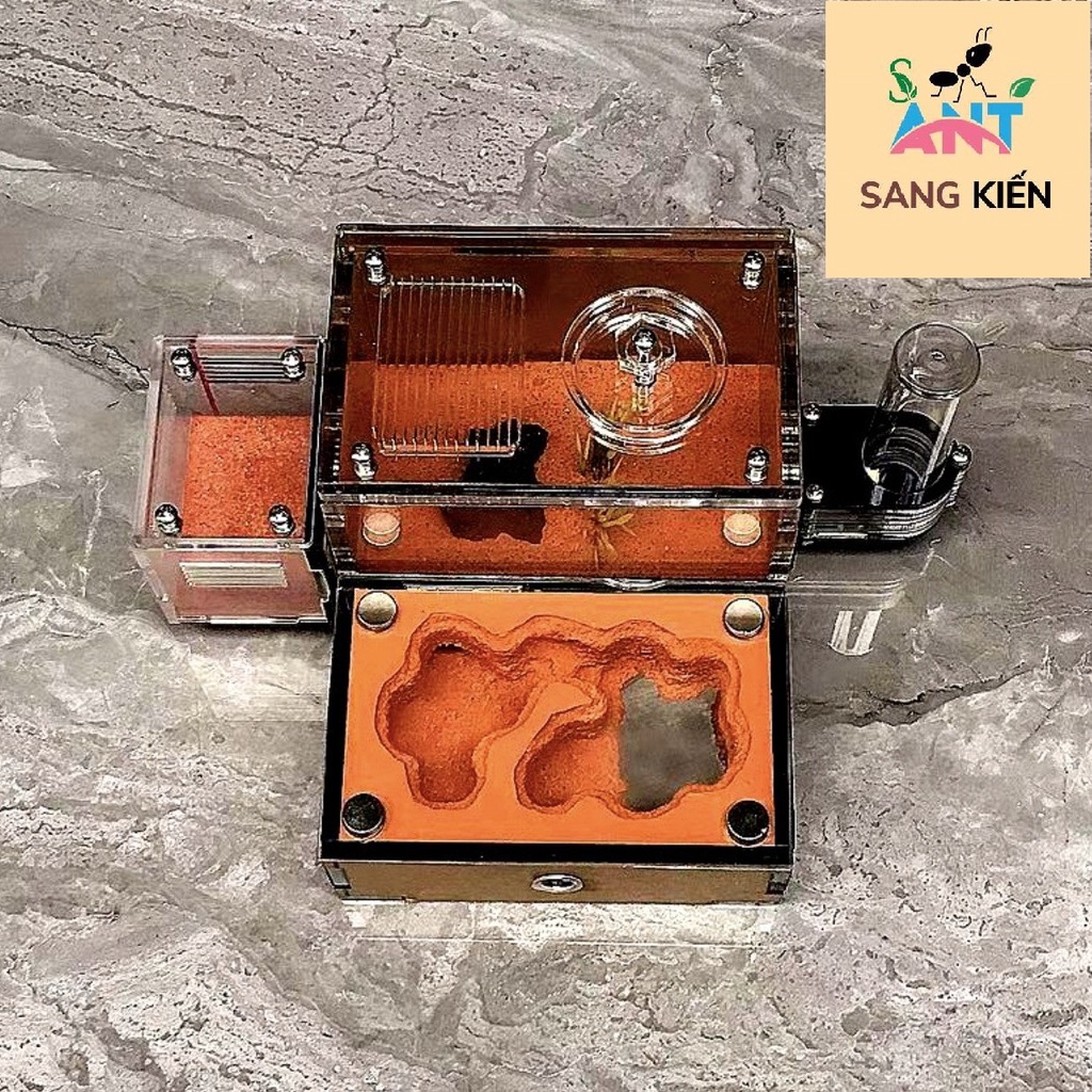 Hộp Nuôi Kiến, Nhà Cho Kiến, Tank Kiến Hàng Nhập SN01