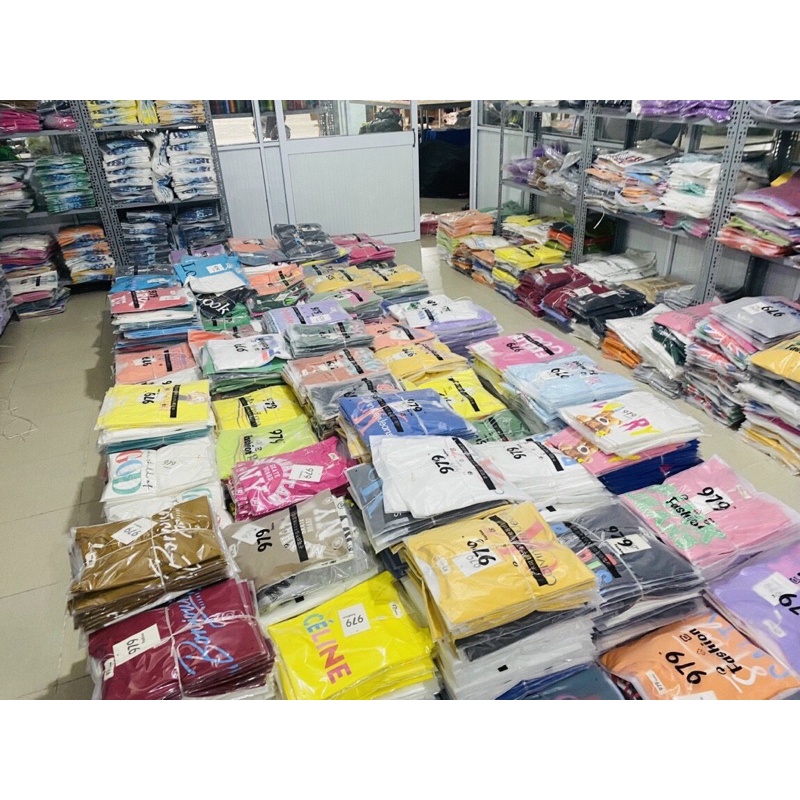 Áo thun thái nữ 979 form VỪA