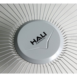 Quạt Hút Tường HV20 HALI