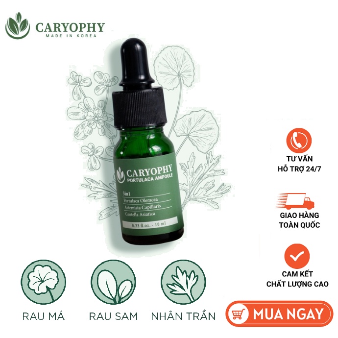 Tinh Chất Caryophy Portulaca Ampoule
