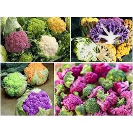 Gói 100 hạt giống súp lơ mix