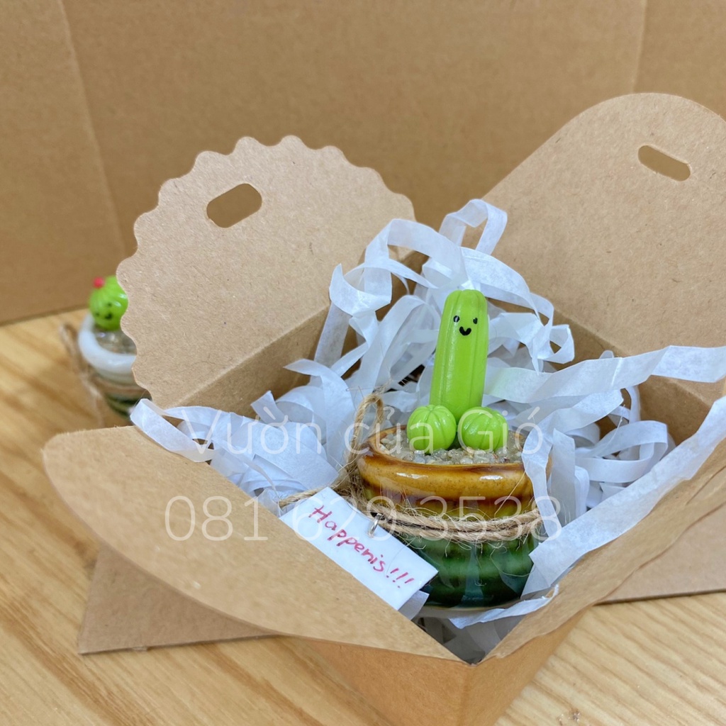Quà tặng bạn trai, chậu xương rồng mini Cắc Tút