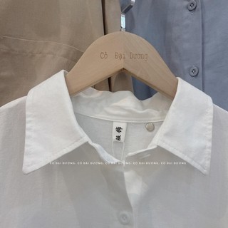 áo sơ mi trơn basic 293