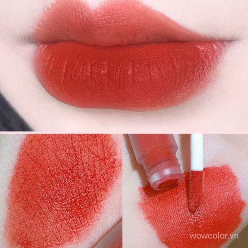 Hộp 5 Son Gấu CACE Nhung Lì Mềm Môi