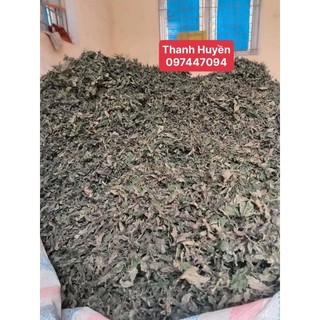 Lá Đắng Rừng ( cây cơm kìa )