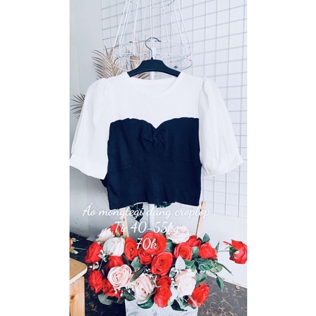 Áo mongtegi dáng croptop