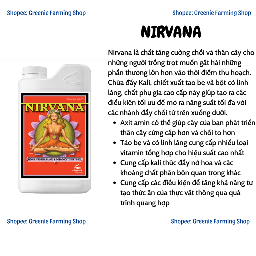 Phân bón Nirvana - Tăng khả năng miễn dịch và khả năng quang hợp