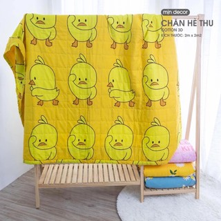 Chăn Hè nhiều mầu lựa chọn Cotton poly trần bông cao cấp bông tấm dầy đẹp