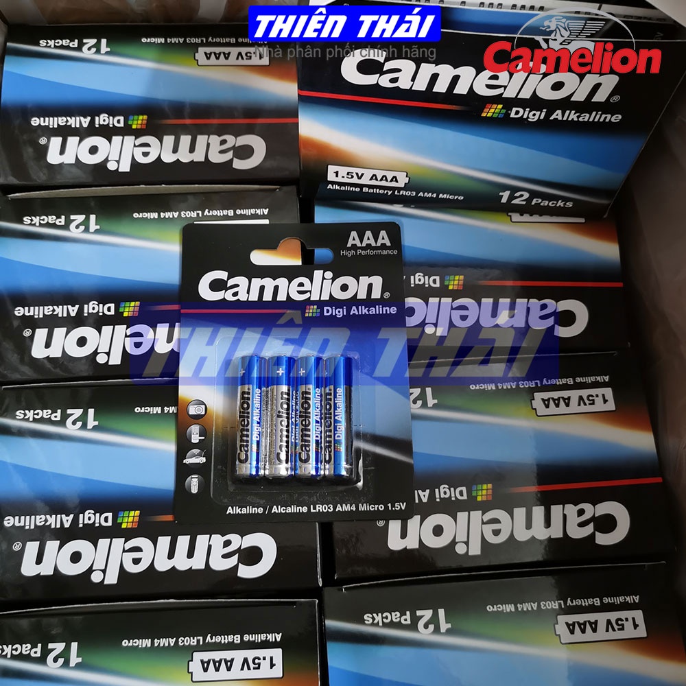 Pin tiểu Camelion,pin đũa Camelion,pin kiềm,pin alkaline,pin 1.5V.pin AA alkaline,pin AAA,pin LR6,pin LR03