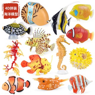 Đồ trang trí Cá Mập / Cá Voi / Cá Hề 4D Sống Động