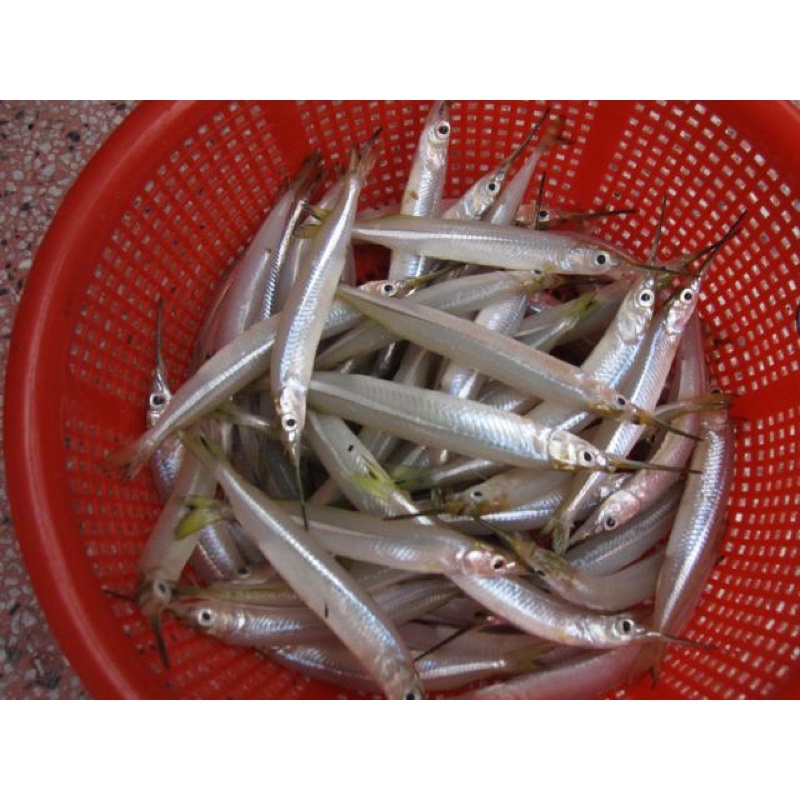 Khô CÁ KÌM SÔNG LA NGÀ