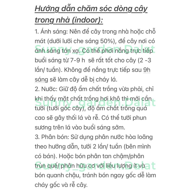 Chậu cứng Vạn lộc