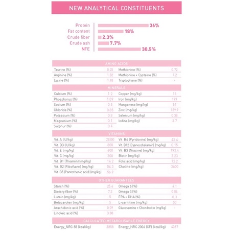 Hạt Royal Canin  Kitten 36 dinh dưỡng cho mèo con 4-12 tháng - Hạt cho mèo BINW Pack