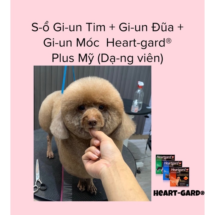 Kẹo sữa dê bổ sung canxi cho chó