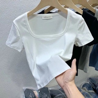 áo crt cổ vuông bigsize