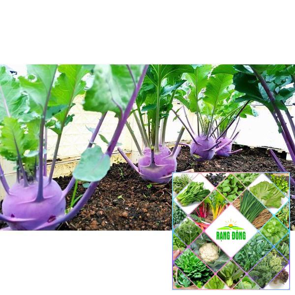 gói 5gr hạt giống su hào tím khoảng 300 hạt