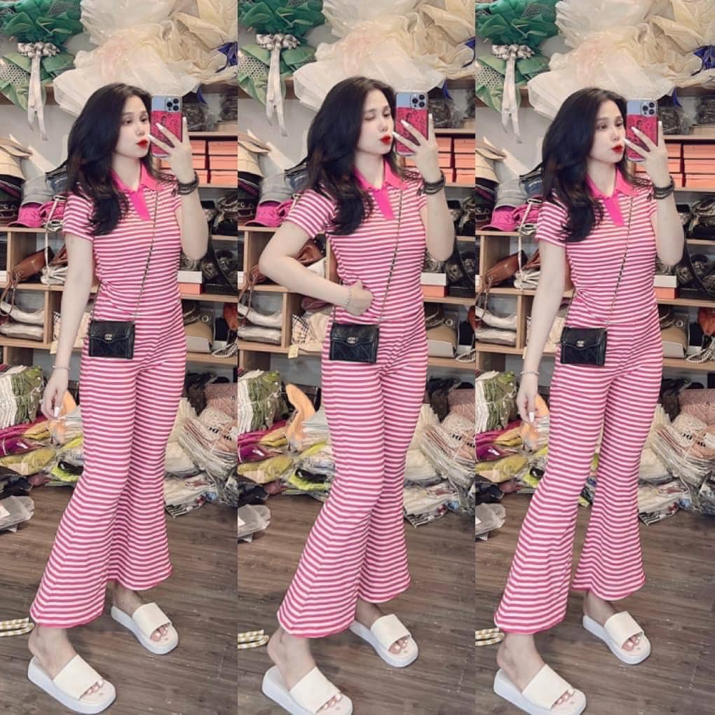 Đồ bộ nữ, set quần ống loe đai cao có túi và áo ôm ngắn tay lai bầu cổ sơ mi vải thun cotton gân borip, đồ bộ đồ mặc nhà