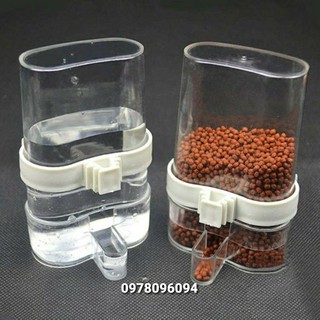 Bình nước tự động cho chim bình thức ăn hạt cho chim bình nước mica tự động cho chim