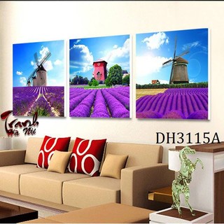 Tranh tráng gương, tranh pha lê, tranh treo tường DH3115A