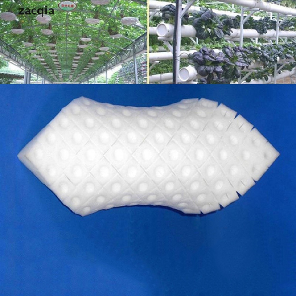 Set 100 Miếng Xốp Không Cần Đất Dùng Để Trồng Cây Vn VN