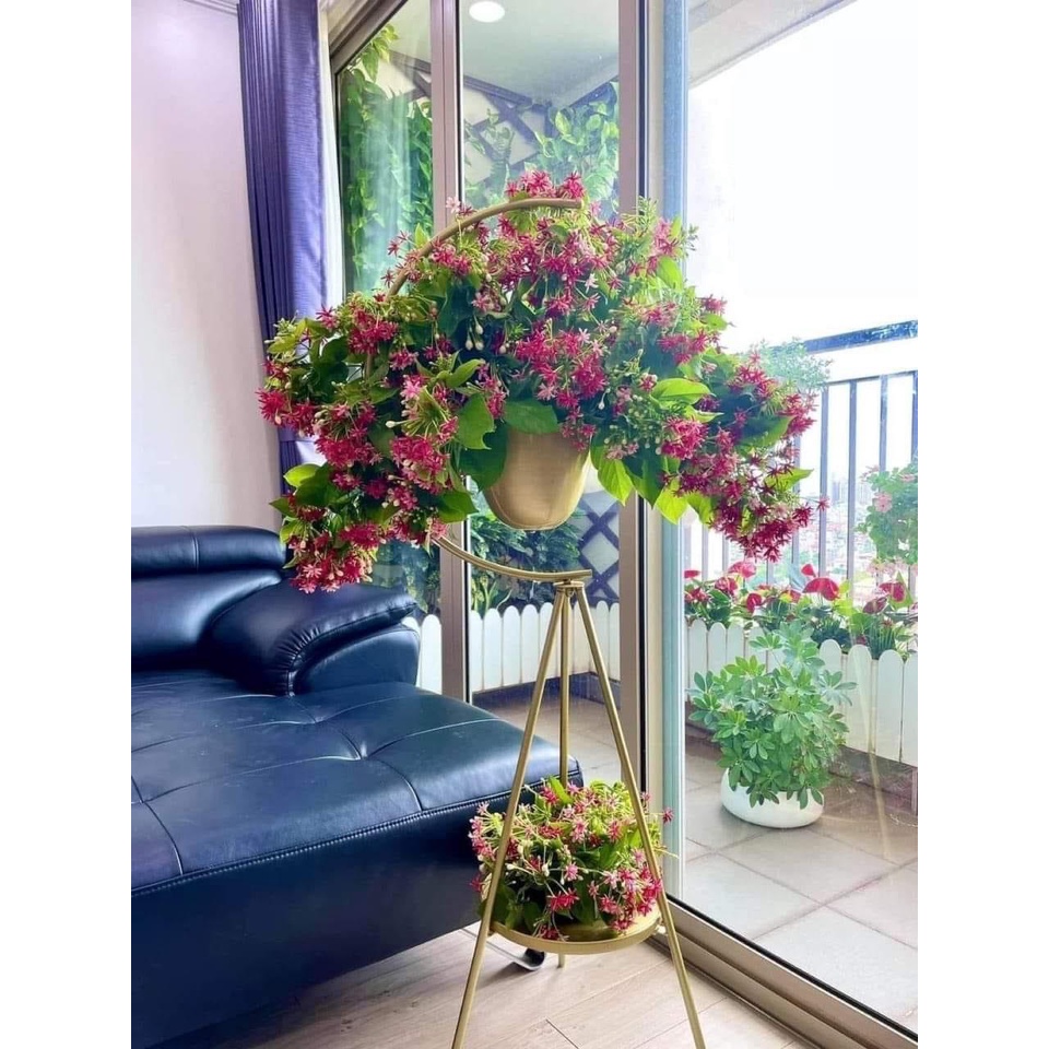 GIÁ TREO HOA MẪU MỚI