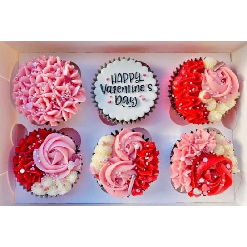 Combo 10 hộp cupcake 4-6-9-12 bánh