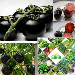 Hạt giống cà chua bi đen 30 hạt hat f1