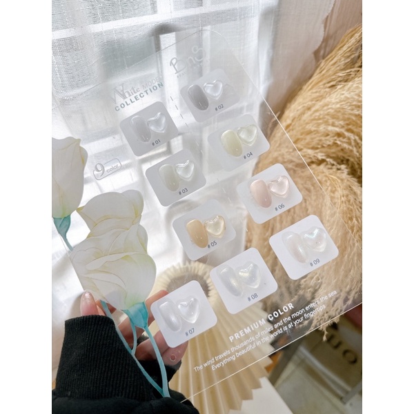 Set sơn Trắng 9 màu BNS cao cấp