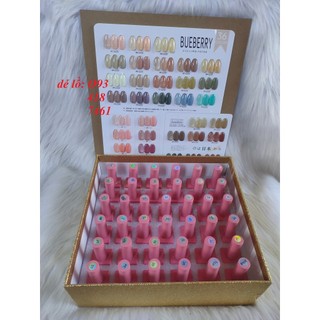 Sơn gel thạch bộ 38 lọ BueBerry chai màu hồng