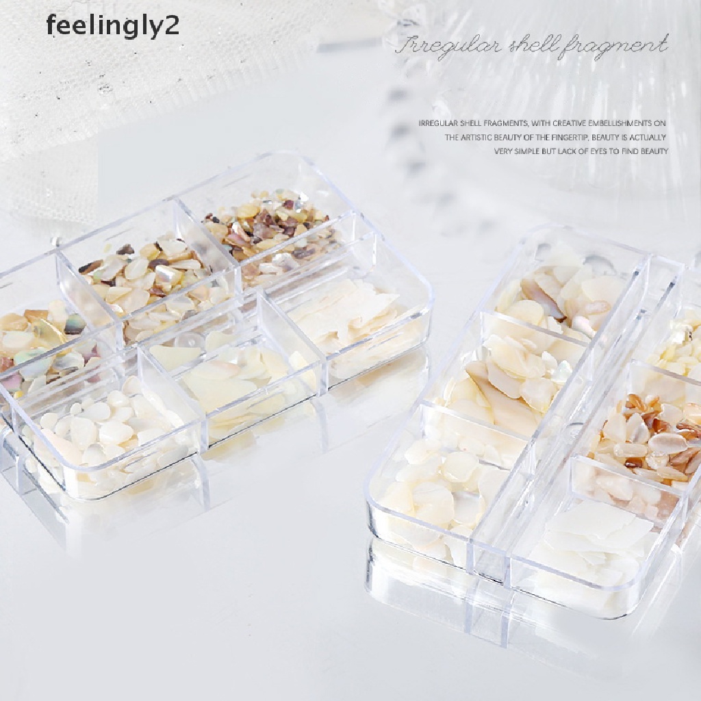 Hộp Vỏ Sò 3D Trang Trí Móng Tay 6 Ngăn Độc Đáo DIY