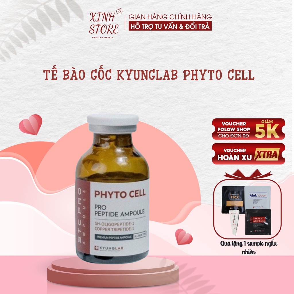 Tế Bào Gốc KyungLab Phyto Cell Peptide Ampoule Dưỡng Trắng, Phục Hồi Và Tái Tạo Da, Mang Đến Làn Da Tươi Trẻ