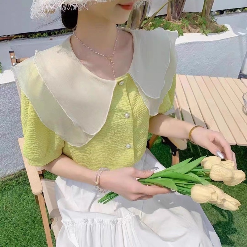 Áo Sơ Mi Nữ Ngắn Tay Freesize Thiết Kế Cổ Bèo Phong Cách Tiểu Thư Hàn Quốc Màu Sắc Trẻ Trung