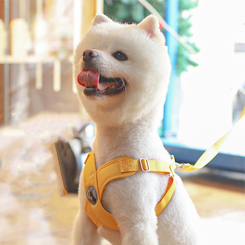 HamshMoc Dây Dắt Thú Cưng Đi Dạo Thiết Kế Thoáng Khí Thoải Mái Có Tay Cầm Điều Chỉnh Được