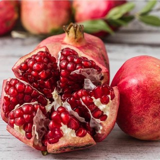 CÂY GIỐNG LỰU ĐỎ LÙN ẤN ĐỘ
