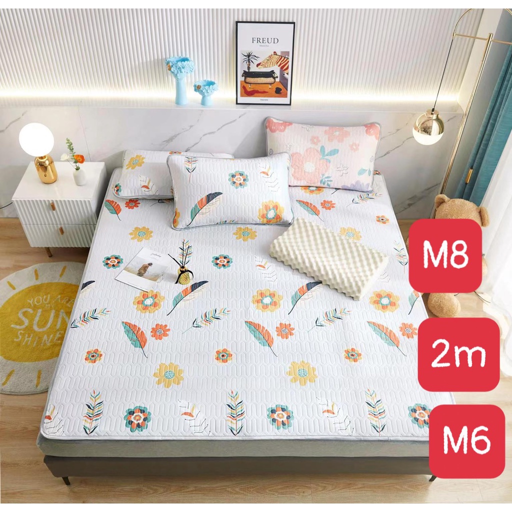 Chiếu điều hòa, chiếu cao su non hàng loại 1- 1m6x2m,1m8x2m mẫu quả bơ