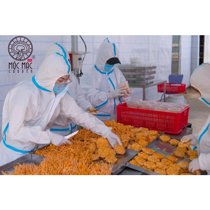 Đông trùng hạ thảo khô sấy thăng hoa MMG