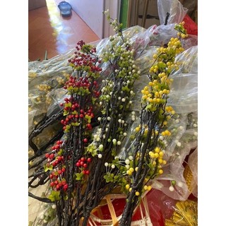 Cành cherry cổ