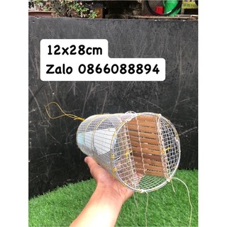 Bẫy ếch,Lợp ếch.🐸