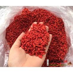 kỉ tử ninh hạ loại 1