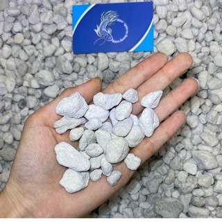 Seachem matrix 1 lít / 700g | chiết từ thùng 100lít - vật liệu lọc cao cấp cho bể cá